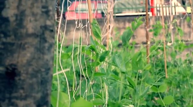 Eco-merenda: l'esperienza di una scuola di Salerno | Giunti Scuola