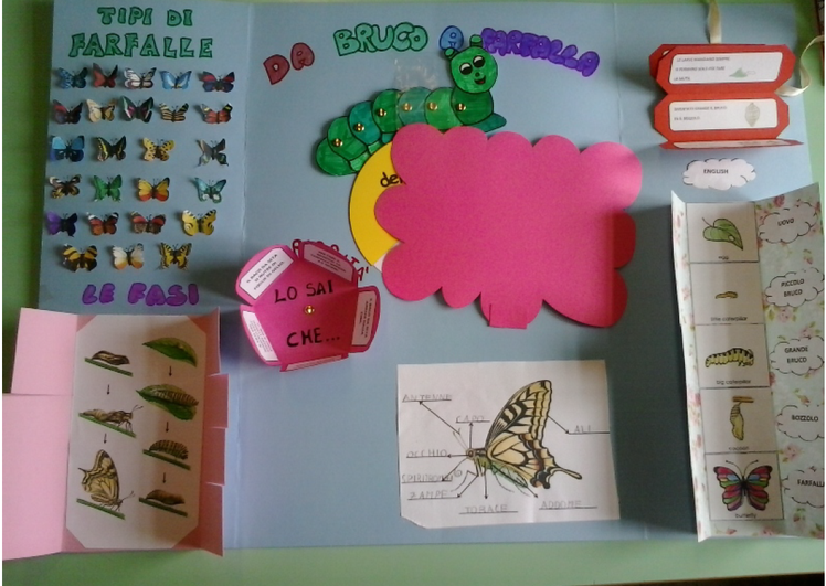 La metamorfosi dei bachi da seta in un lapbook | Giunti Scuola La metamorfosi dei bachi da seta in un lapbook | Giunti Scuola