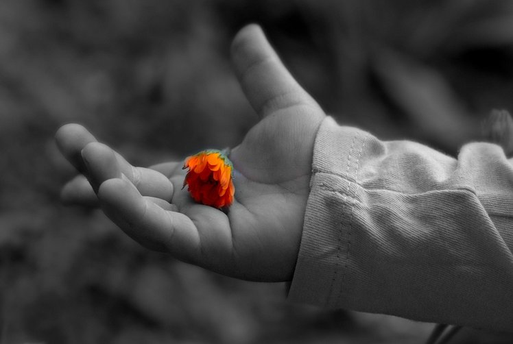 Piccolo pensiero sulla gentilezza | Giunti Scuola Piccolo pensiero sulla gentilezza | Giunti Scuola