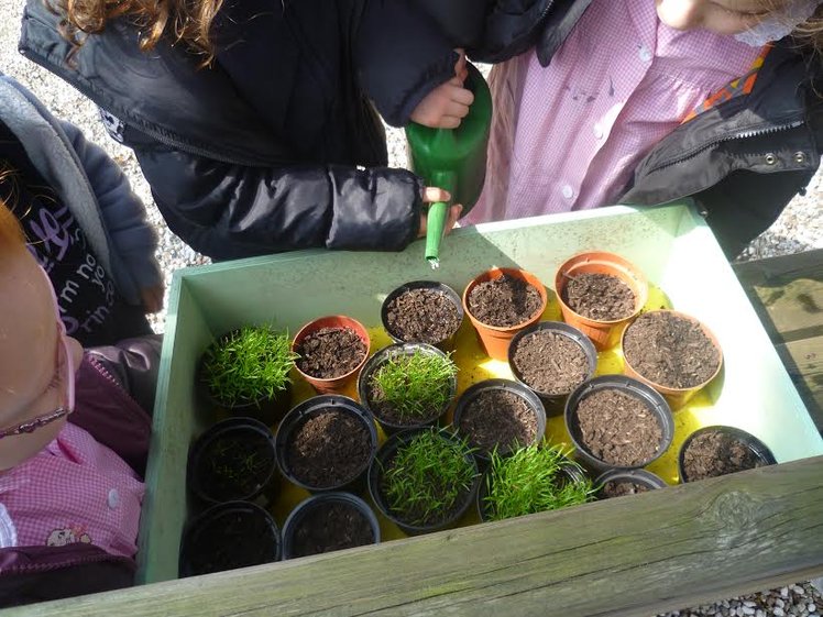 Un orto dal vero | Giunti Scuola Un orto dal vero | Giunti Scuola