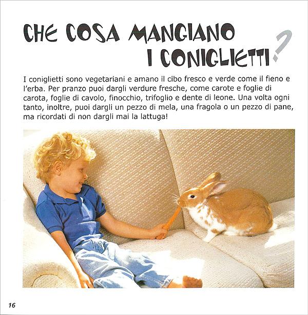 Coniglietti Giunti Scuola