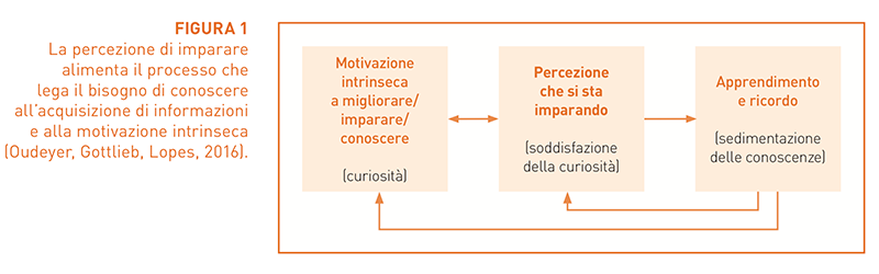 Image | Giunti Scuola