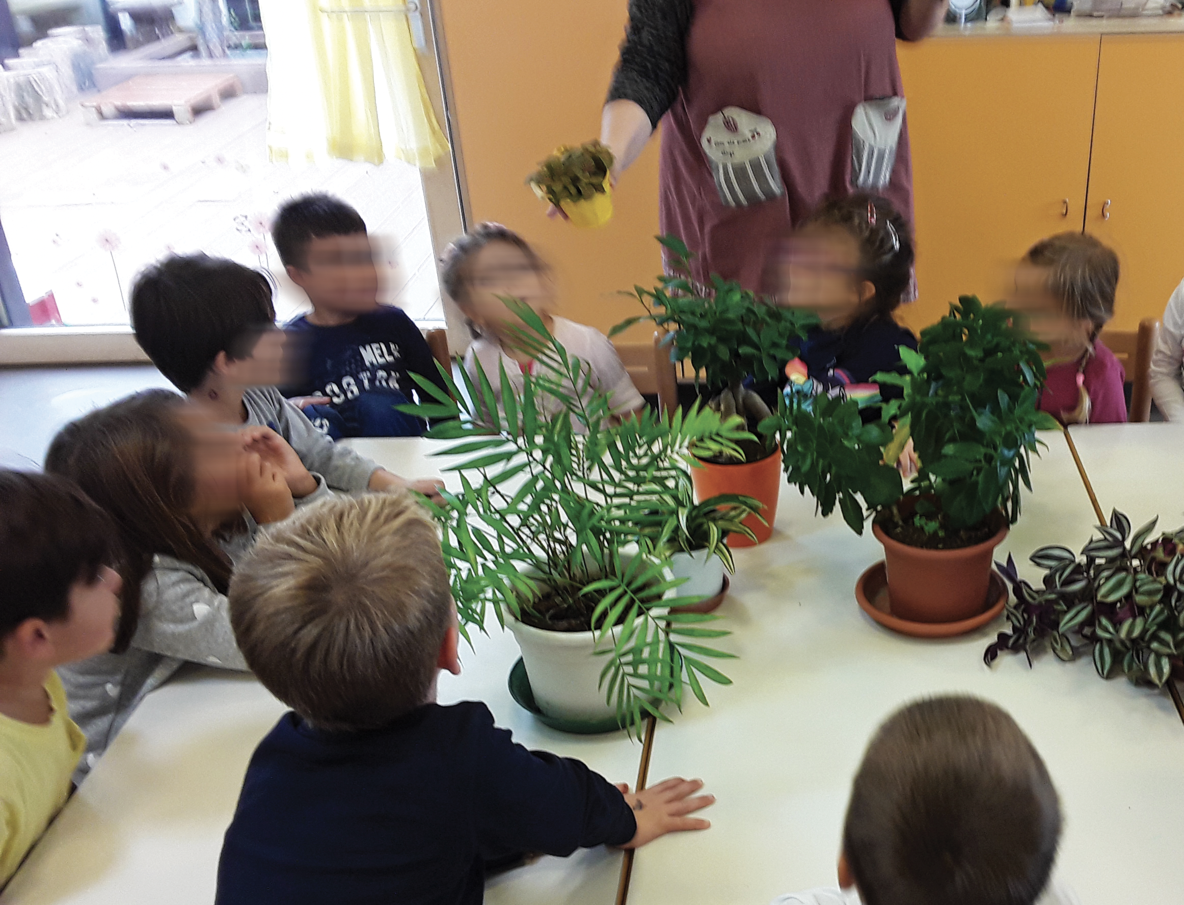 Image | Giunti Scuola