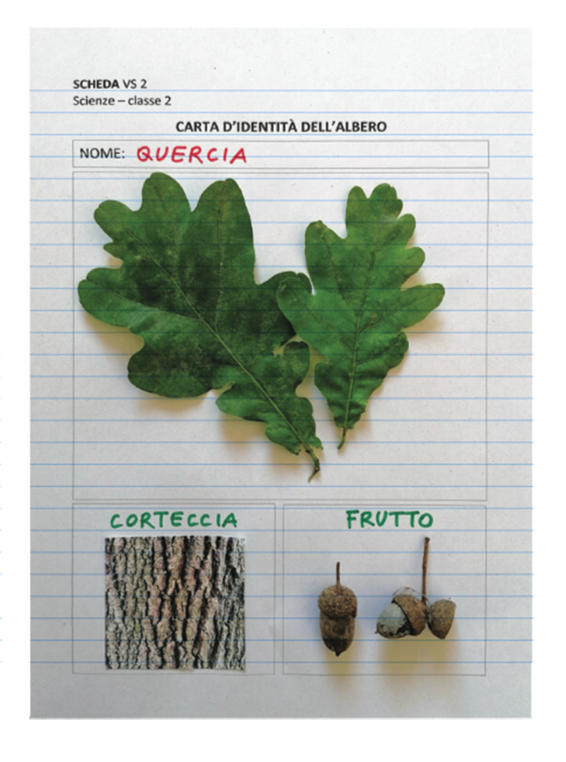 Image | Giunti Scuola