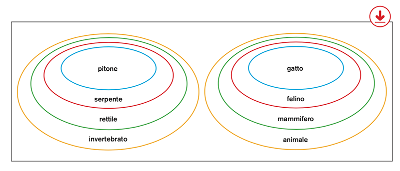 Image | Giunti Scuola