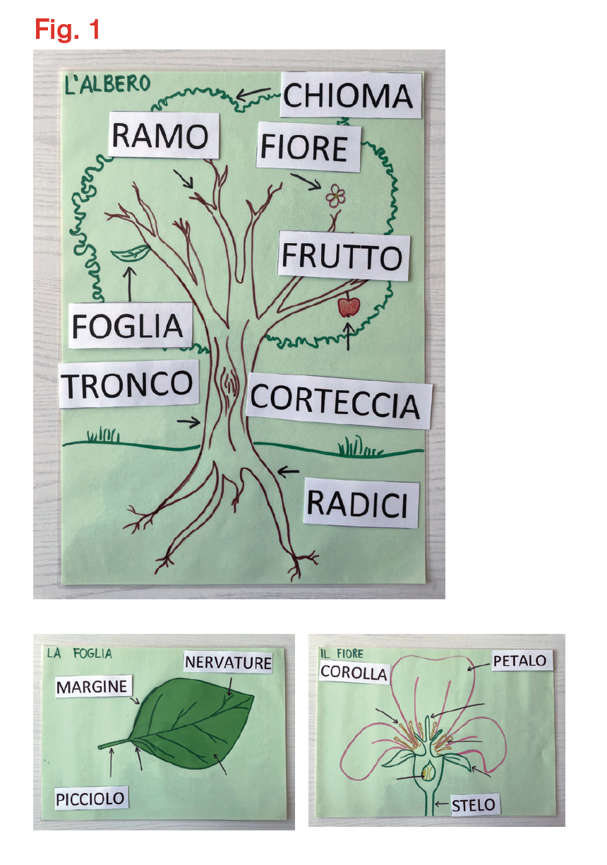 Image | Giunti Scuola