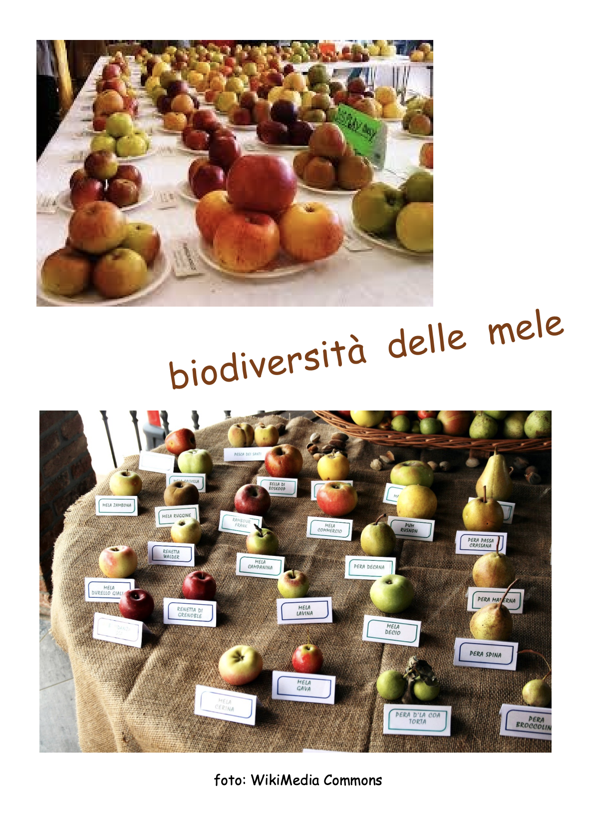 Image | Giunti Scuola