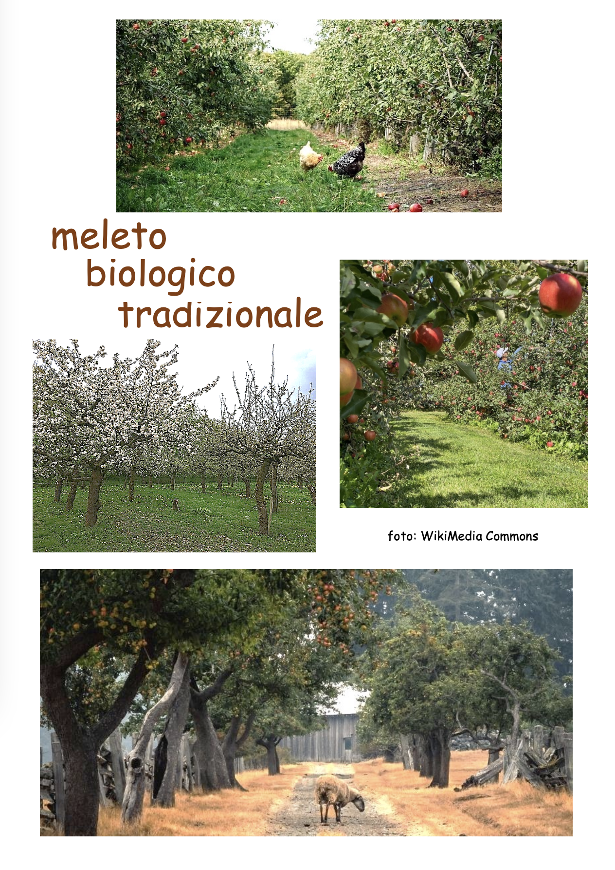 Image | Giunti Scuola