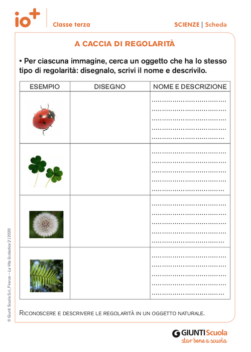 A caccia di regolarità | Giunti Scuola