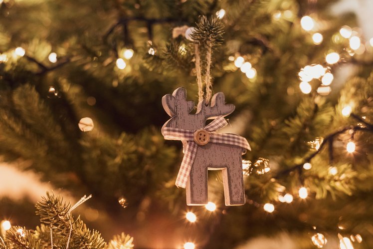 A come Abete: l'alfabeto delle feste | Giunti Scuola A come Abete: l'alfabeto delle feste | Giunti Scuola