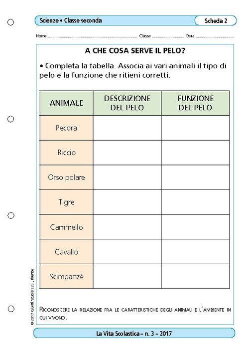 A cosa serve il pelo? | Giunti Scuola A cosa serve il pelo? | Giunti Scuola
