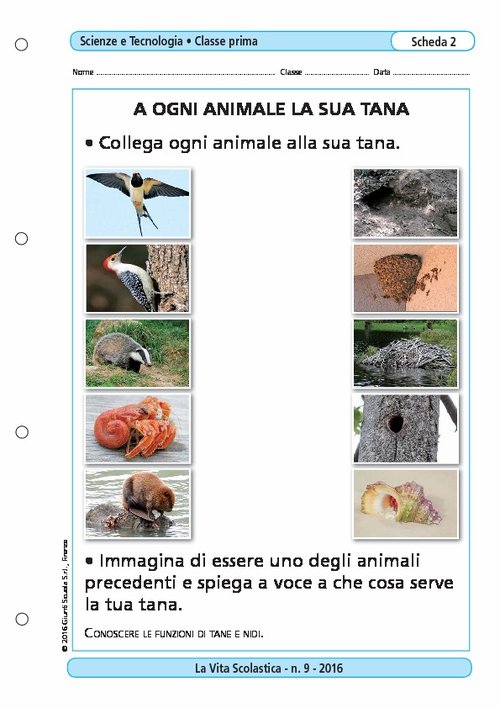 A ogni animale la sua tana | Giunti Scuola A ogni animale la sua tana | Giunti Scuola
