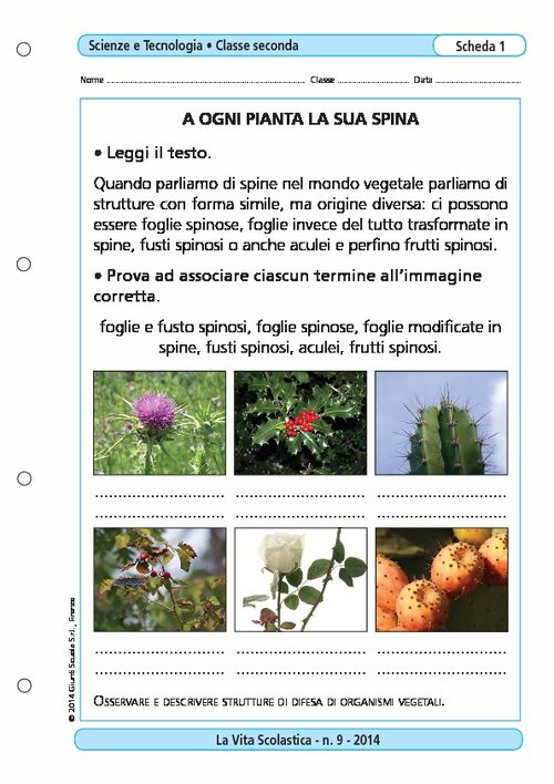 A ogni pianta la sua spina | Giunti Scuola A ogni pianta la sua spina | Giunti Scuola