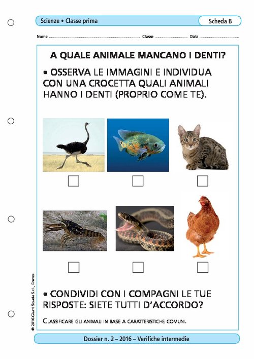 A quale animale mancano i denti? | Giunti Scuola A quale animale mancano i denti? | Giunti Scuola