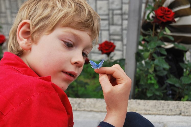 A scuola di natura, anche in città | Giunti Scuola