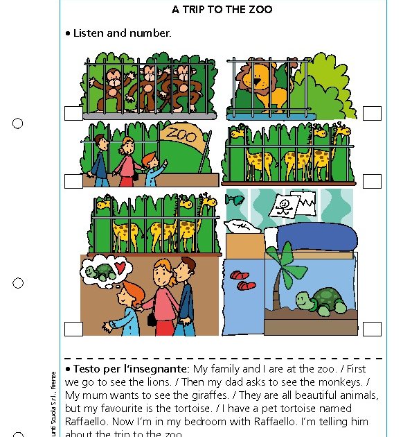 A trip to the zoo | Giunti Scuola