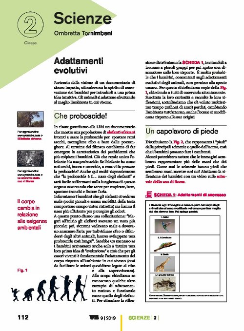 Adattamenti evolutivi | Giunti Scuola