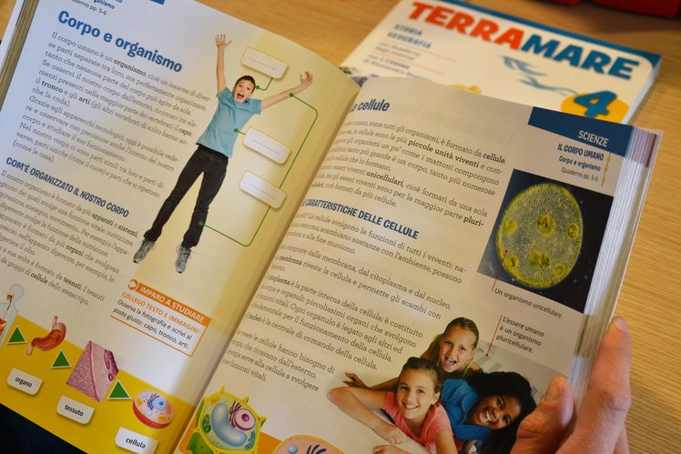 Adozione dei libri di testo: tutto quel che c'è da sapere | Giunti Scuola Adozione dei libri di testo: tutto quel che c'è da sapere | Giunti Scuola