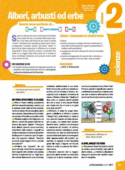 Alberi, arbusti ed erbe | Giunti Scuola Alberi, arbusti ed erbe | Giunti Scuola