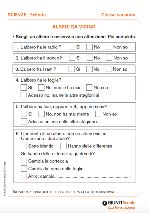Alberi da vicino | Giunti Scuola Alberi da vicino | Giunti Scuola