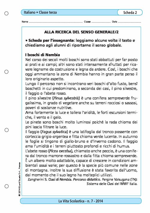 Alla ricerca del senso generale/2 | Giunti Scuola Alla ricerca del senso generale/2 | Giunti Scuola