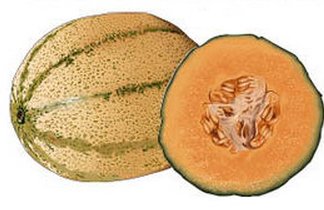 Alla scoperta del melone! | Giunti Scuola Alla scoperta del melone! | Giunti Scuola