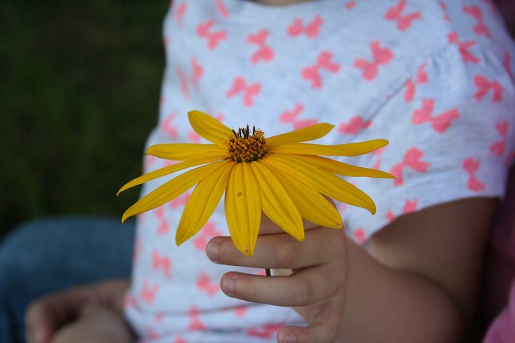 Amicizia o innamoramento? Rispettare i sentimenti dei bambini | Giunti Scuola Amicizia o innamoramento? Rispettare i sentimenti dei bambini | Giunti Scuola