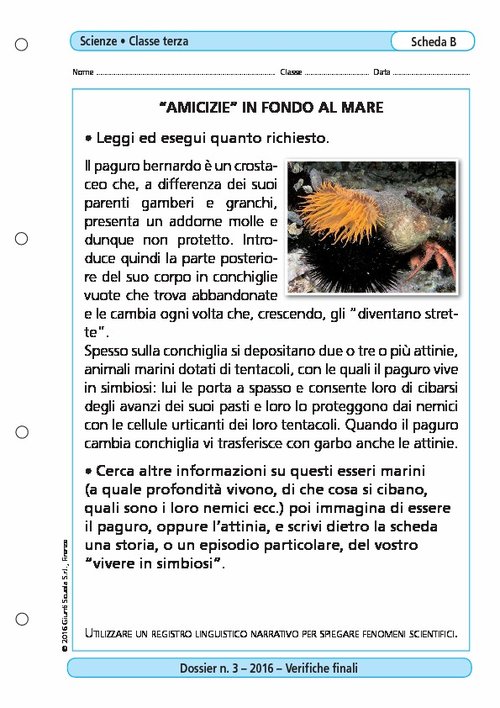"Amicizie" in fondo al mare | Giunti Scuola "Amicizie" in fondo al mare | Giunti Scuola