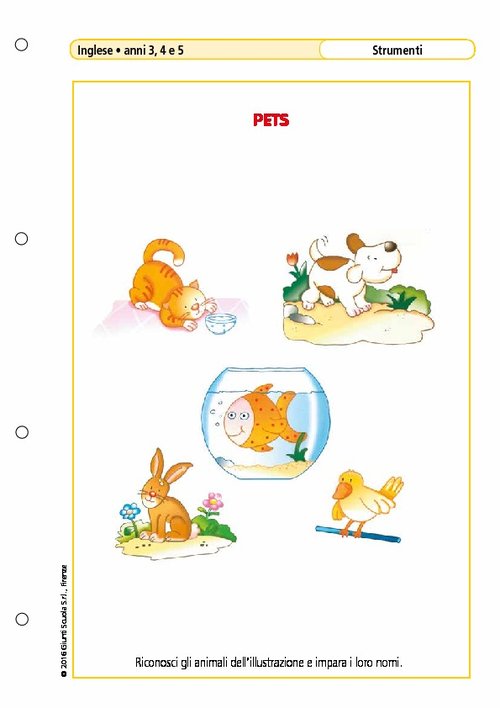 ANGOLO INGLESE_Strumenti 4.pdf | Giunti Scuola ANGOLO INGLESE_Strumenti 4.pdf | Giunti Scuola
