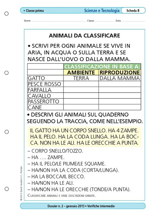 Animali da classificare | Giunti Scuola Animali da classificare | Giunti Scuola