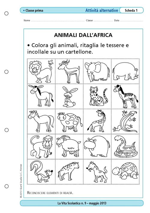 Animali dall'Africa | Giunti Scuola Animali dall'Africa | Giunti Scuola