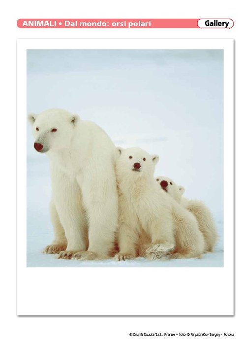 Animali del mondo | Giunti Scuola Animali del mondo | Giunti Scuola