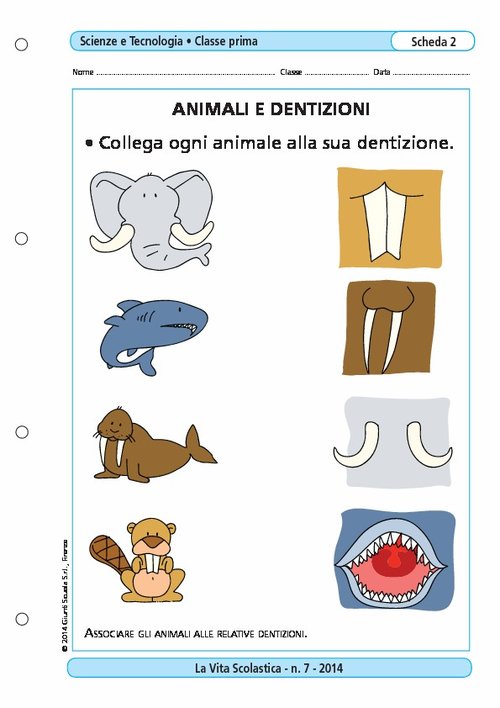 Animali e dentizioni | Giunti Scuola