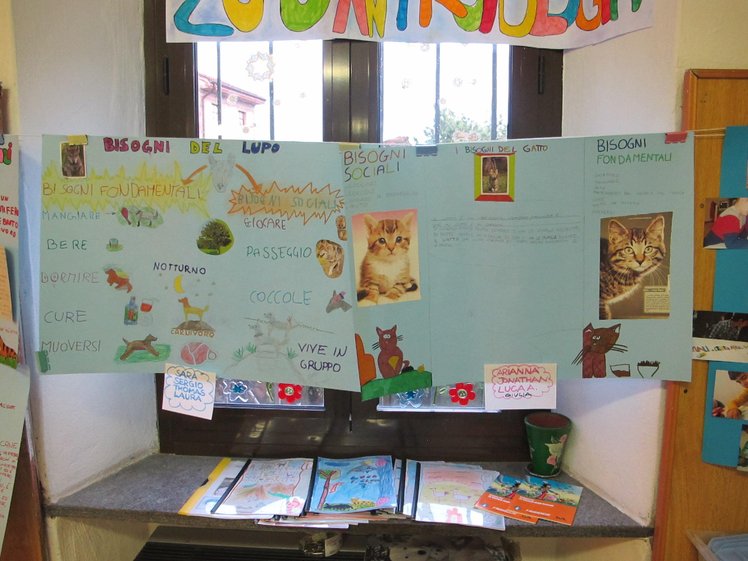 Animali maestri di empatia | Giunti Scuola Animali maestri di empatia | Giunti Scuola