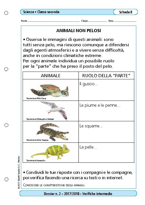 Animali non pelosi | Giunti Scuola Animali non pelosi | Giunti Scuola
