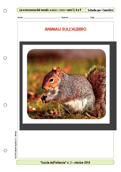 Animali sull'albero | Giunti Scuola Animali sull'albero | Giunti Scuola