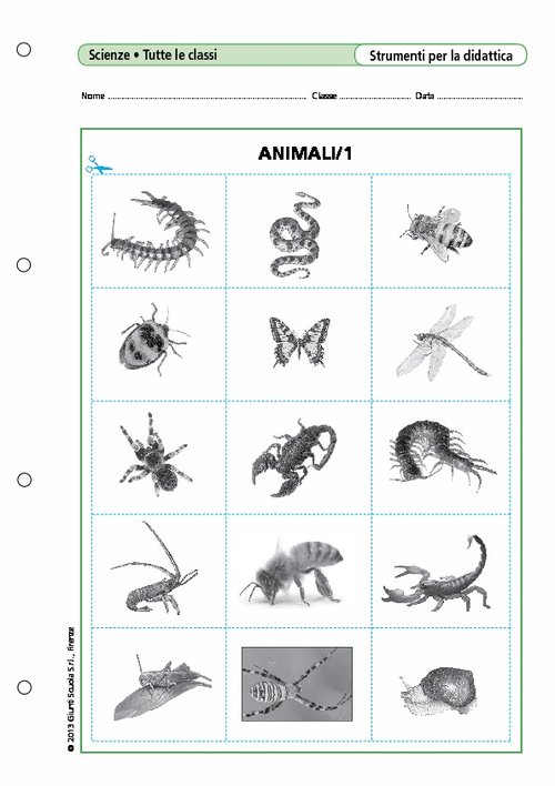Animali/1 | Giunti Scuola