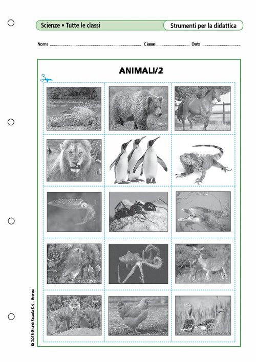 Animali/2 | Giunti Scuola Animali/2 | Giunti Scuola