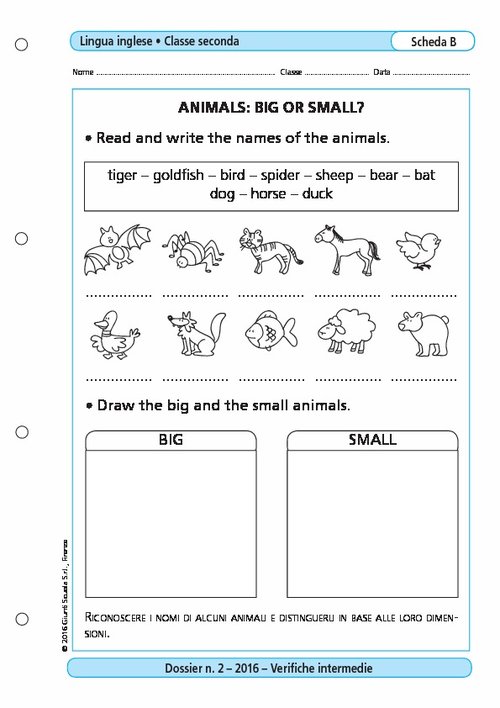 Animals: big or small? | Giunti Scuola Animals: big or small? | Giunti Scuola