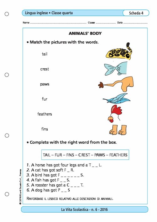 Animal's body | Giunti Scuola Animal's body | Giunti Scuola
