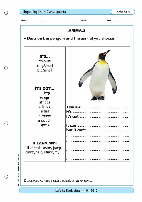 Animals | Giunti Scuola Animals | Giunti Scuola