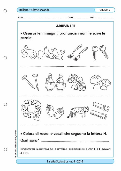 Schede sulla Lettera L per la Classe Prima