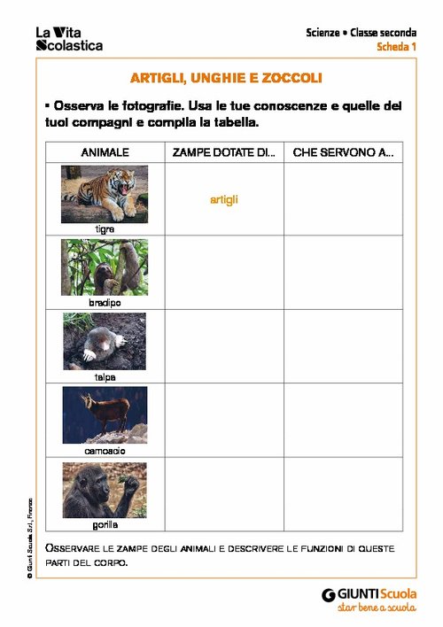Artigli, unghie e zoccoli | Giunti Scuola Artigli, unghie e zoccoli | Giunti Scuola