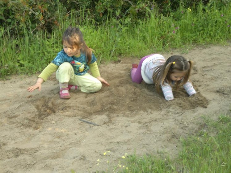 Asilo nel bosco: il progetto pilota parte il prossimo anno nella campagna di Ostia Antica | Giunti Scuola