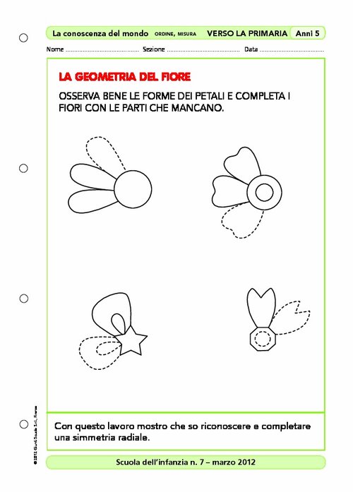 Attività "Verso la primaria": La geometria del fiore | Giunti Scuola Attività "Verso la primaria": La geometria del fiore | Giunti Scuola