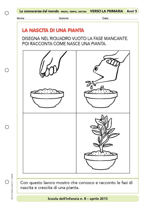 Attività "Verso la scuola primaria": La nascita di una pianta | Giunti Scuola Attività "Verso la scuola primaria": La nascita di una pianta | Giunti Scuola