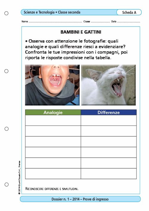 Bambini e gattini | Giunti Scuola Bambini e gattini | Giunti Scuola