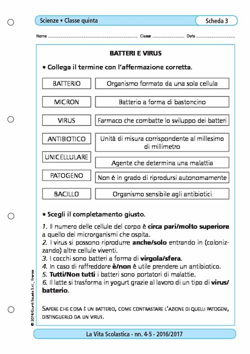 Batteri e virus | Giunti Scuola Batteri e virus | Giunti Scuola