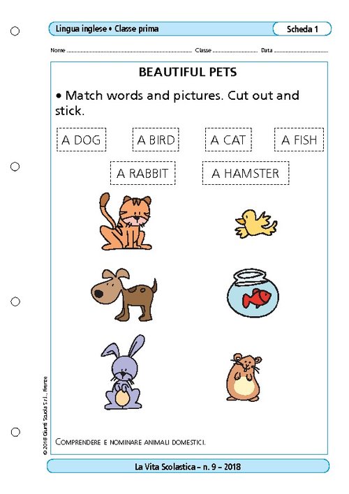 Beautiful pets | Giunti Scuola