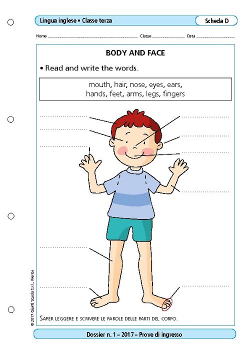 Body and face | Giunti Scuola Body and face | Giunti Scuola